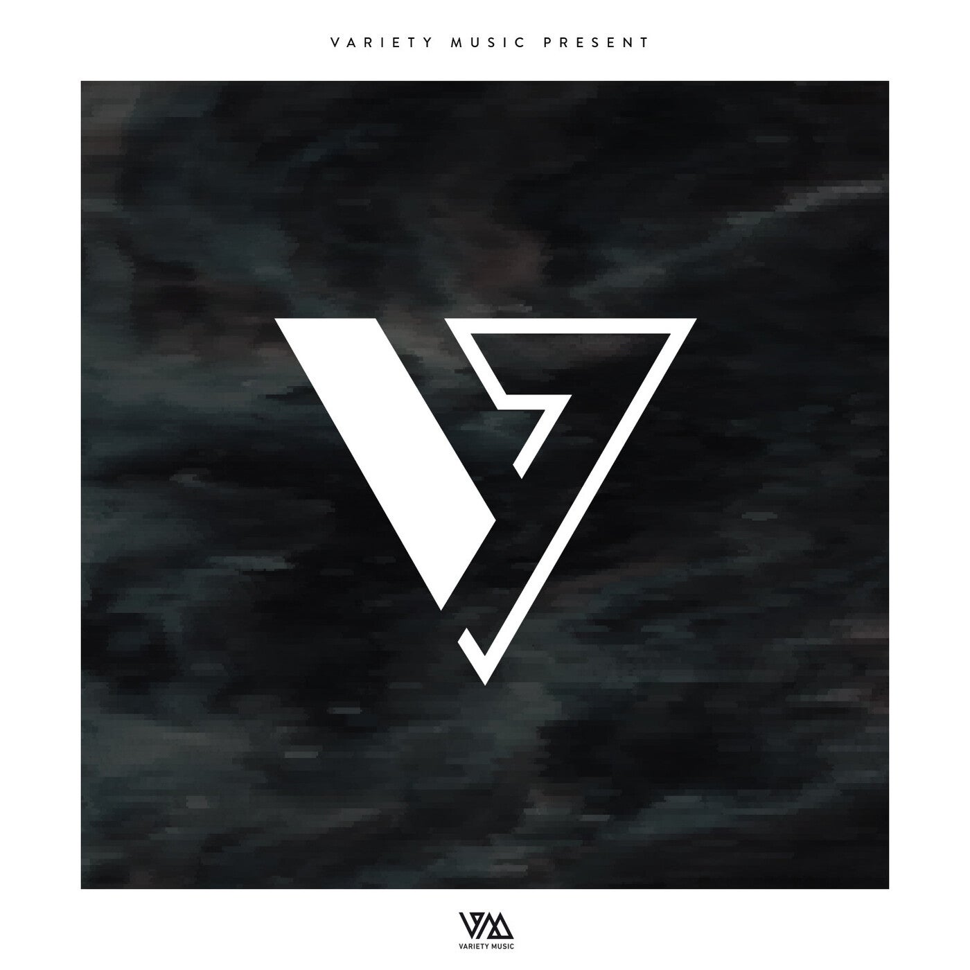 VA - Variety Music pres. V - Vol. 40 [VMCOMP813]